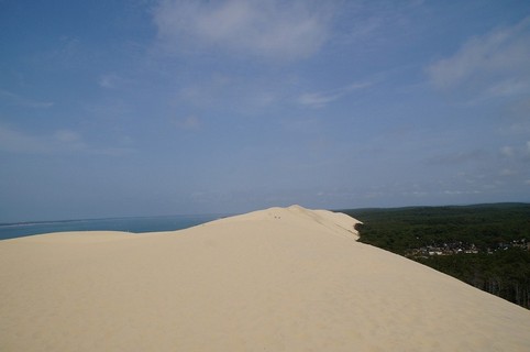 Visit a Dune