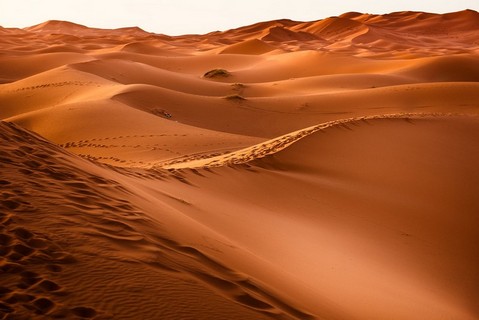 Visit a Sandy Desert