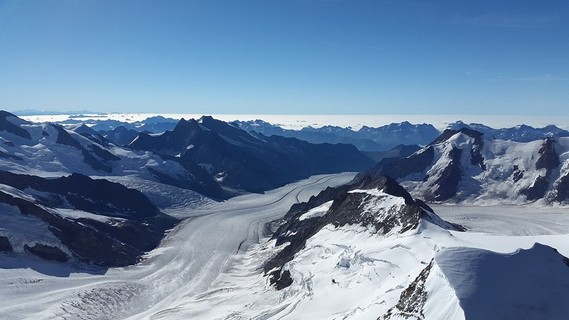 See the Aletsch Glacier