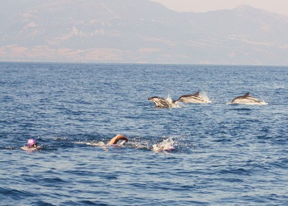 Swim Across The Gibraltar Strait