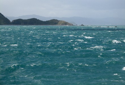 Swim Across The Cook Strait