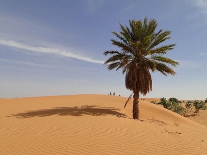 Travel to Mauritania