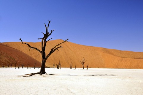 Travel to Namibia