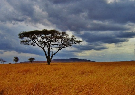 Travel to Tanzania