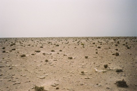 Travel to Western Sahara