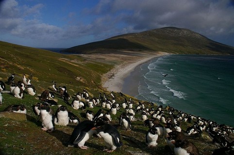 Travel to Falkland Islands (Malvinas)