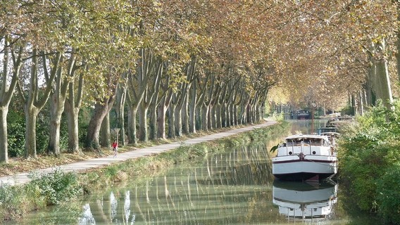 Visit the Canal du Midi