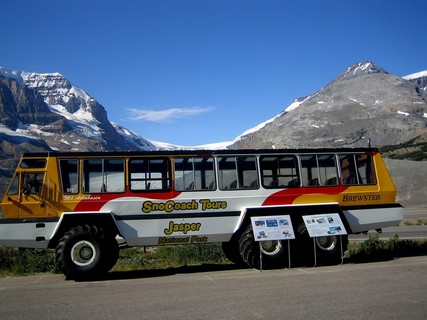 Ride an Off Road Bus