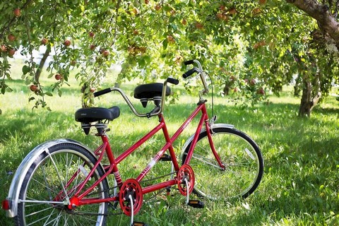 Ride a Tandem Bike